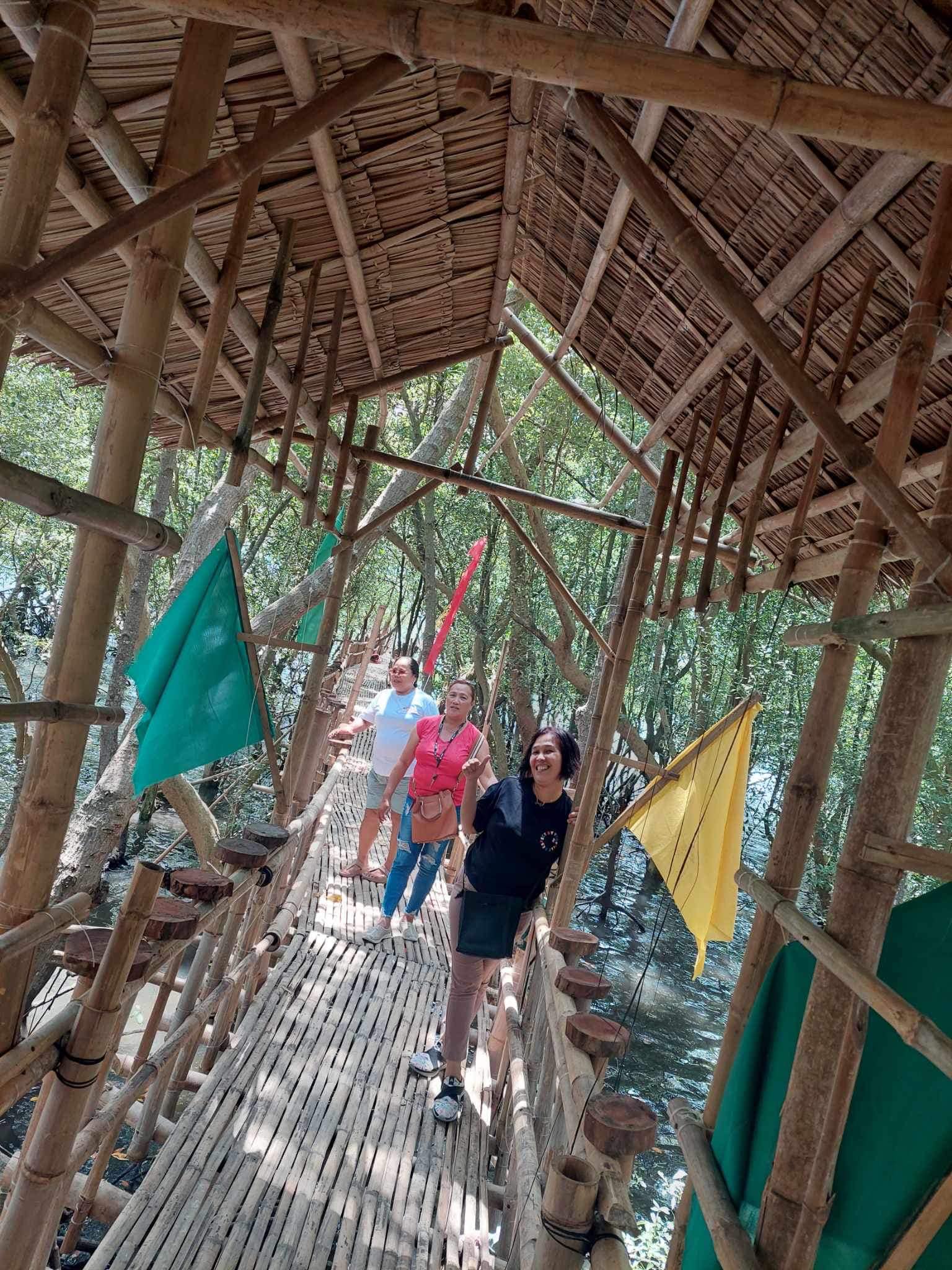Mangrove beach