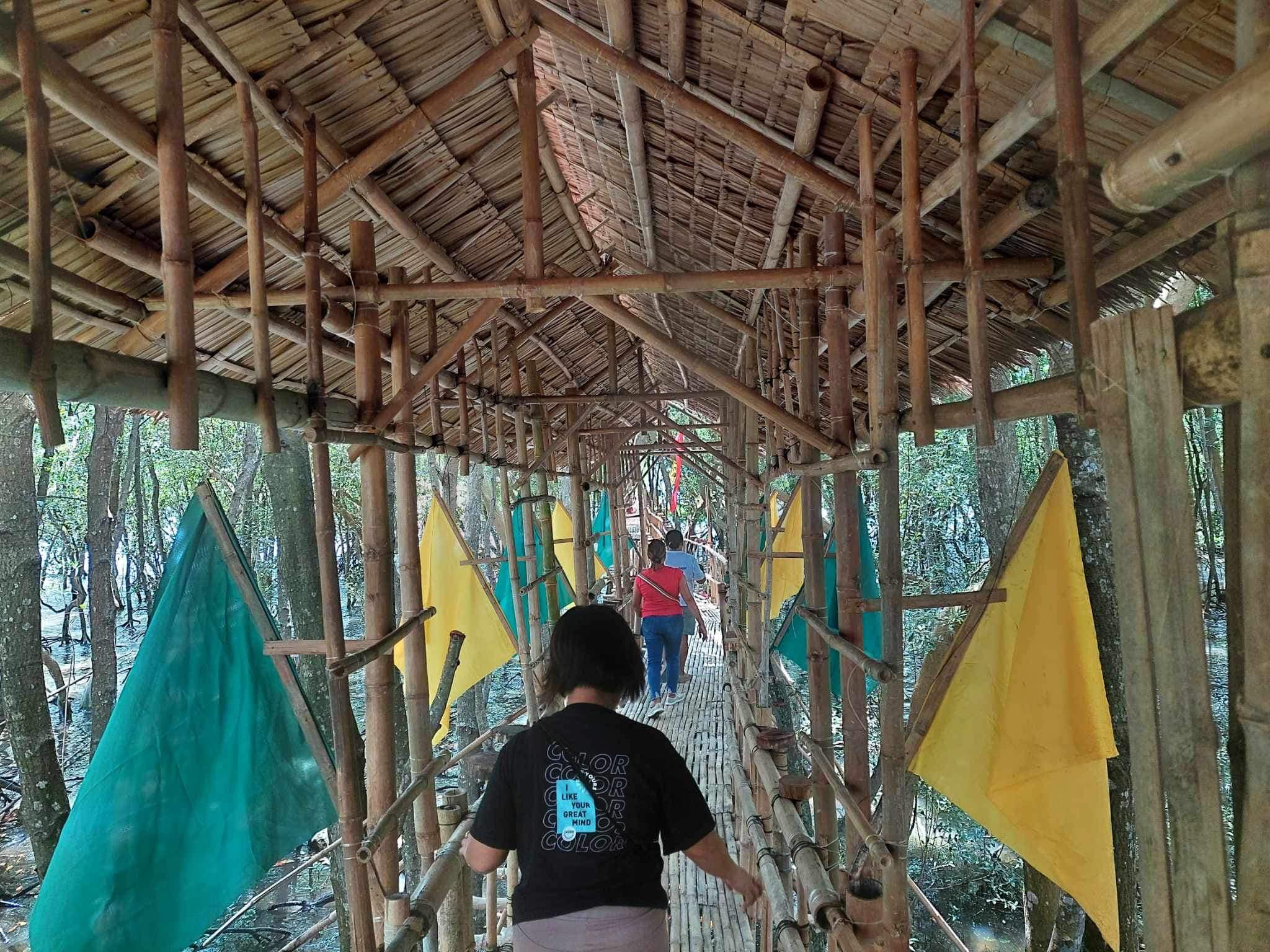 Mangroves